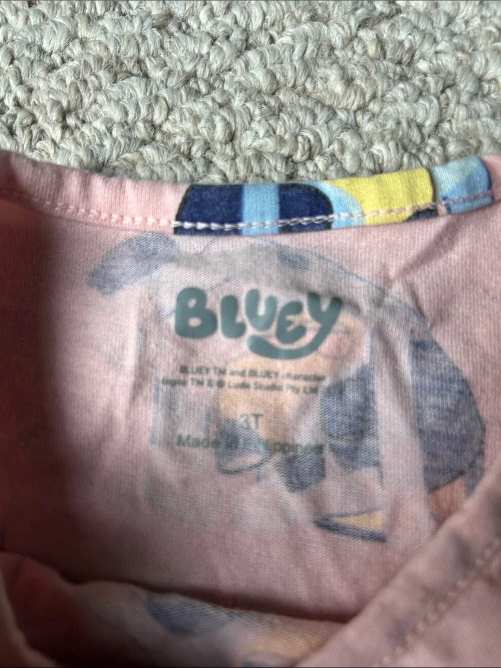 Bluey cute kids